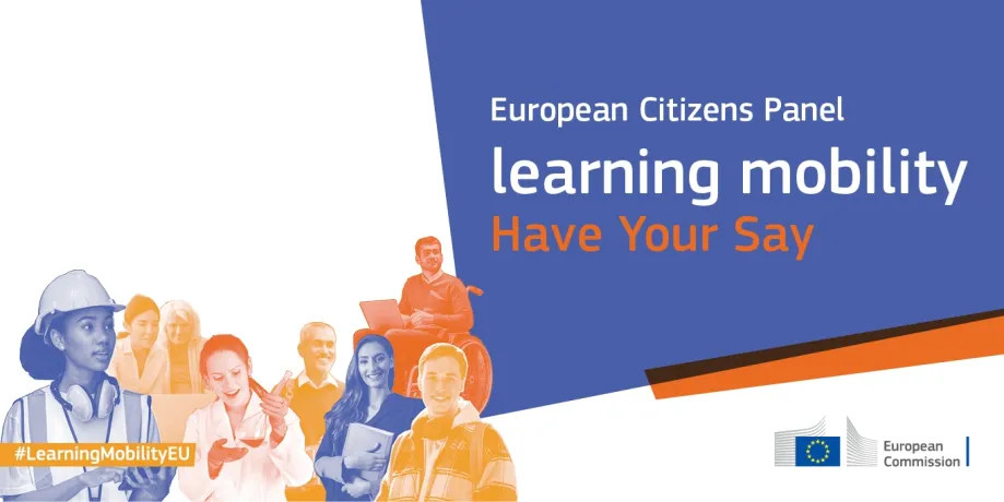 Vizual European Citizens Panel