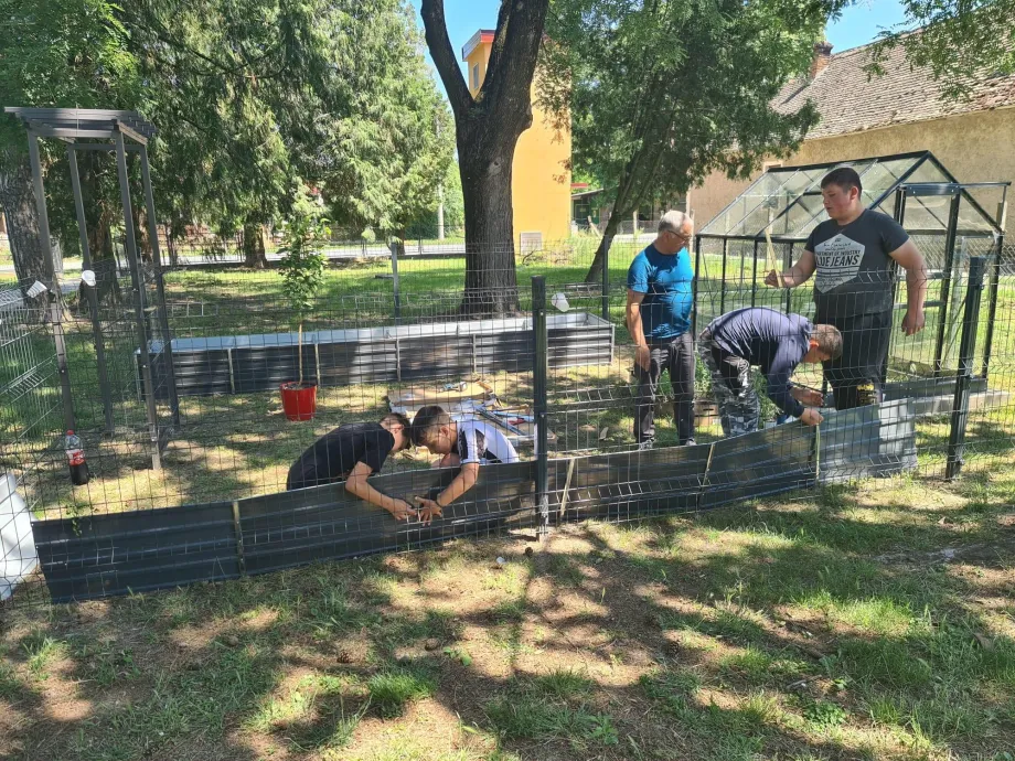 Četiri učenika i jedna odrasla osoba postavljaju ogradu u vrtu pored malog staklenika